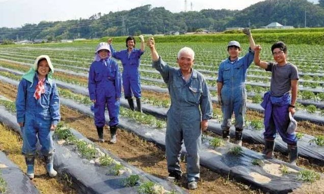 日本勞務(wù)派遣農(nóng)業(yè)類、食品加工、建筑業(yè)、電子業(yè)招聘